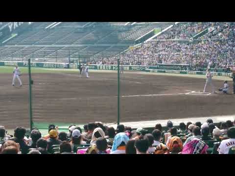 2022年3月13日  OP戦  阪神vs巨人  秋広の打席