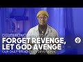 Forget Revenge, Let God Avenge - Daily Devotion