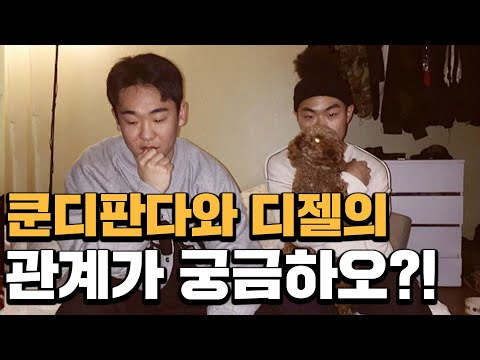 쿤디판다와 디젤이 무슨 사이인지 궁금하오? [3분순삭 궁금하오]