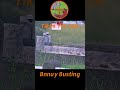 local Cemetery hunt 2024