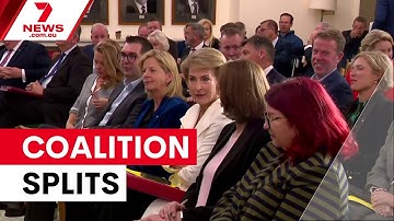 Coalition splits over net zero policy | 7NEWS