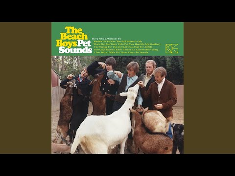 The Beach Boys - Sloop John B (Instrumental Mix & Backing Vocals)