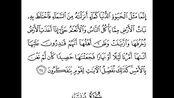 سورة يونس - الآية (٢٤)