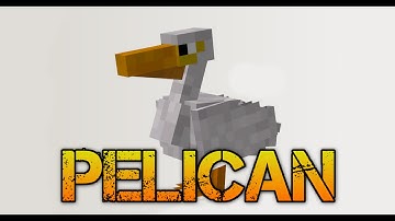 Techne Speed Modelling - 01 - Pelican