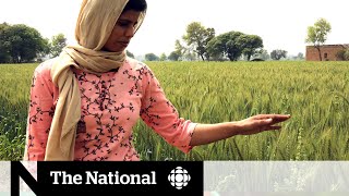 The suicide crisis hiding behind India’s farmer protests