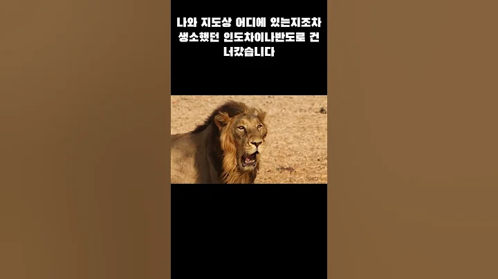 #엘브이엠씨홀딩스#오세영 회장#주식 #주식공부 #시황 #대박 #급등