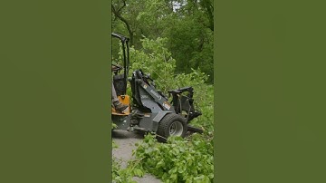 Canopy tree trimming with a Jarraff tree trimmer #treework #arborist #shorts