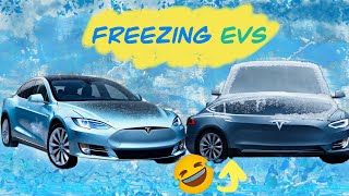 Frozen Tesla Cars [Drive what works for You]