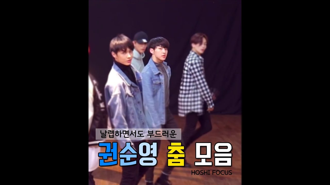 [세븐틴/호시] 날렵하면서도 부드러운 춤선★ 권순영 춤 모음