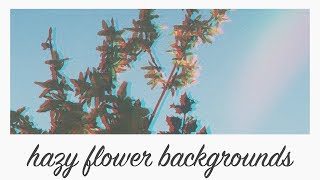 aesthetic haze meadow background animations