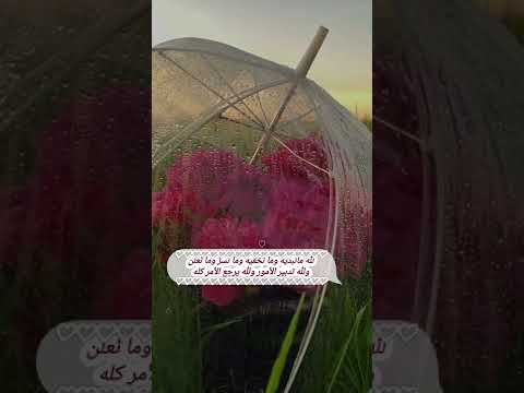 أنا الفقير إلى رب البريات