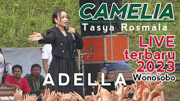 CAMELIA - Tasya Rosmala - Live ADELLA Wonosobo (22/10) 2023
