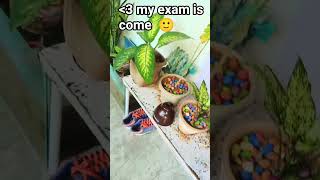 My House Come   song 