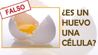 MITOS BIOLÓGICOS  ¿Es un huevo una célula?