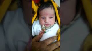 VID 20161209 WA0003