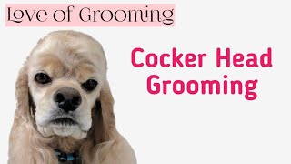 Grooming a Cocker Spaniels Head