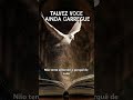 Deus te chama para um novo tempo#deustemumapalavrapravoce#deusnocontrole#fe#gratidão