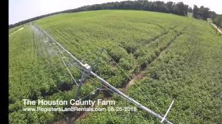 Houston County Farm 08252015