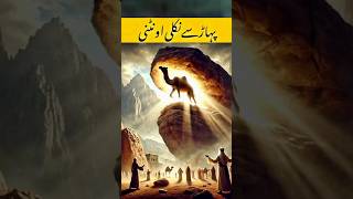 Hazrat Saleh (A.S) Aur Pahad Se Nikalti Oontni Ka Mo’jiza!