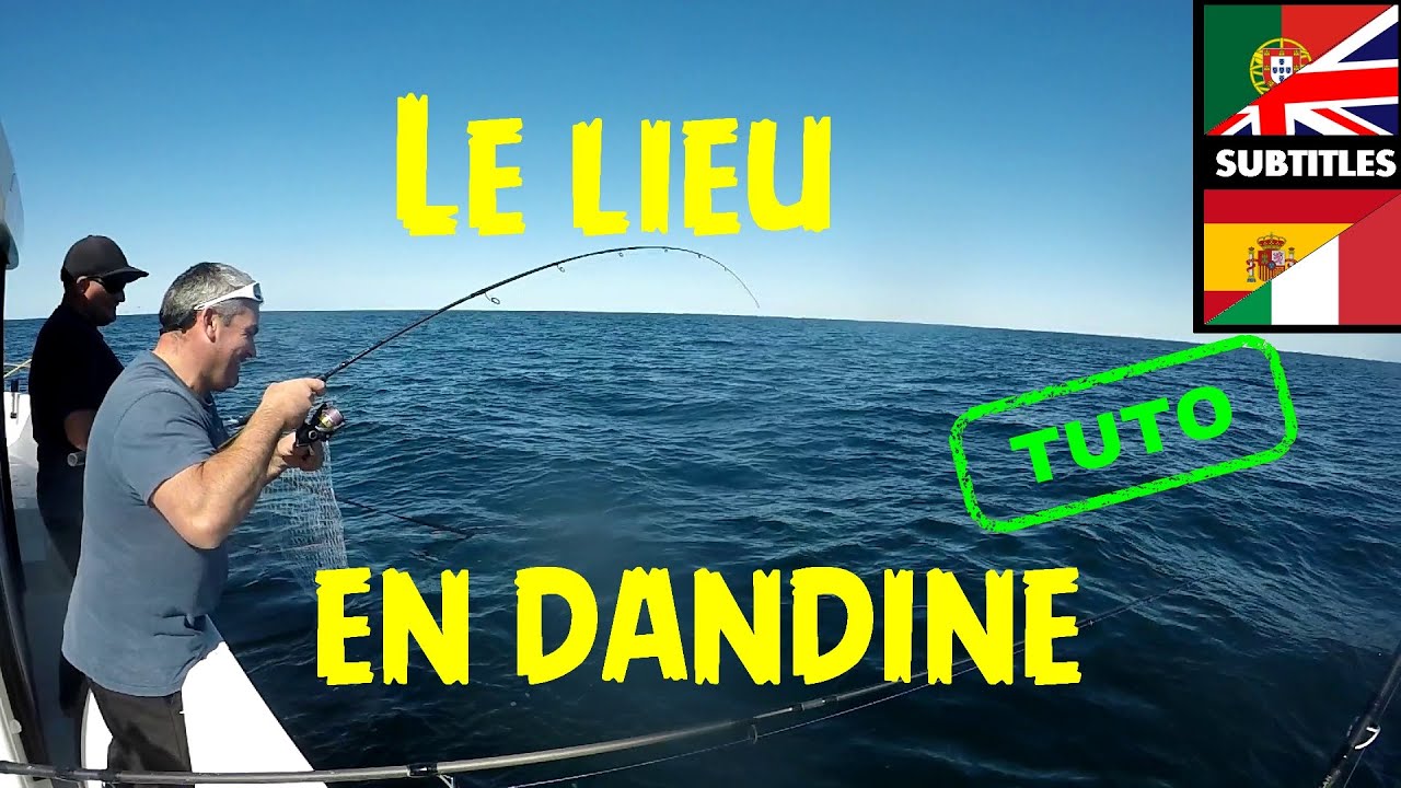pêche au lieu jaune en bateau au casting jig en dandine