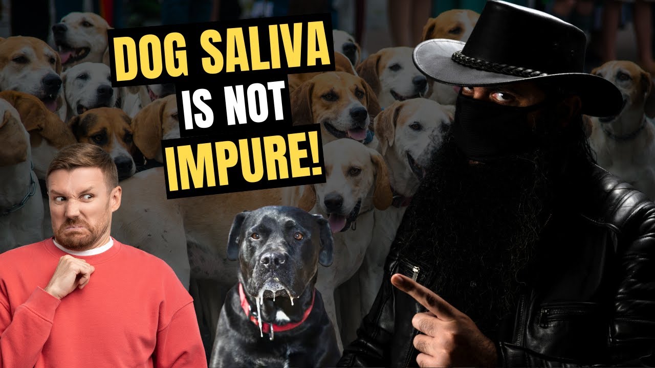 Is Dog Saliva Really Impure? The Truth from Quran & Hadith