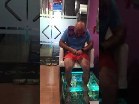 Paul’s Fish Pedicure