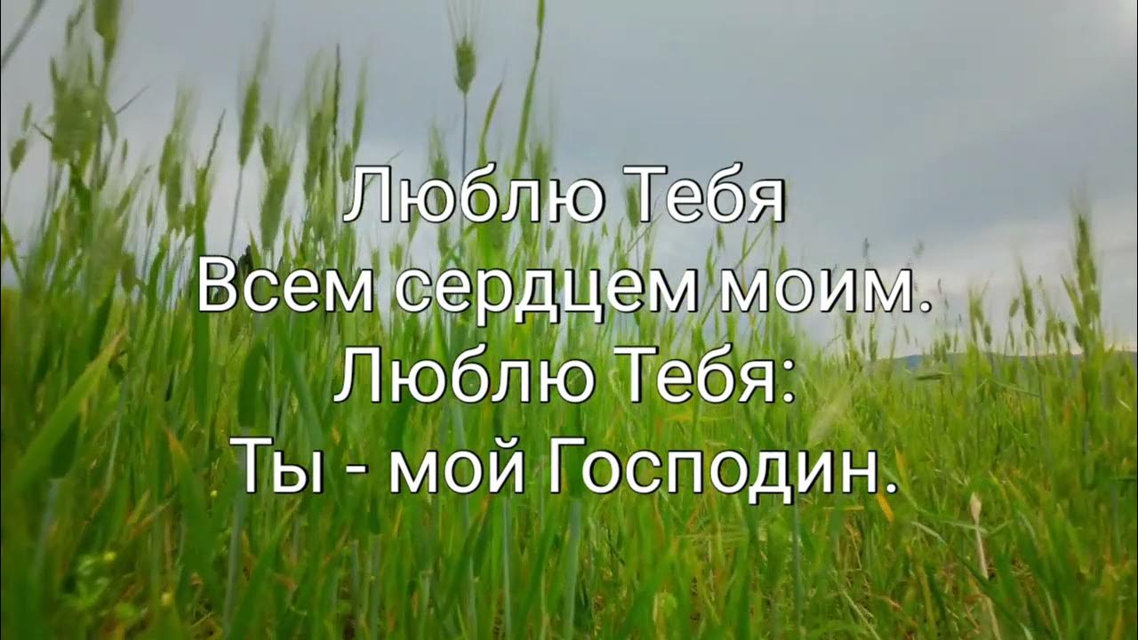 Благословляю минус