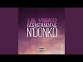 LVDS Instrumentale N Donko Lil Visko
