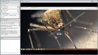 An Overview of Mosquito Control Maps and Apps