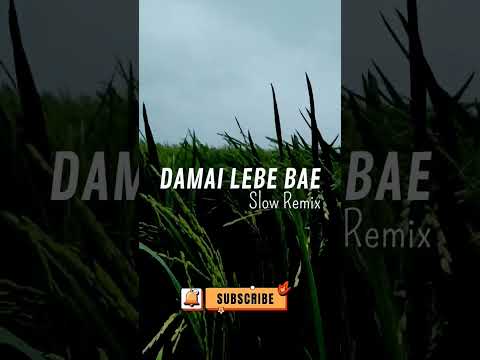 dj damai lebe bae