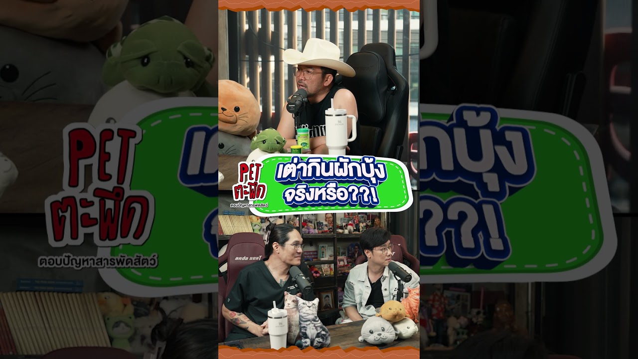 "เต่ากินผักบุ้ง" จริงหรือ??!
