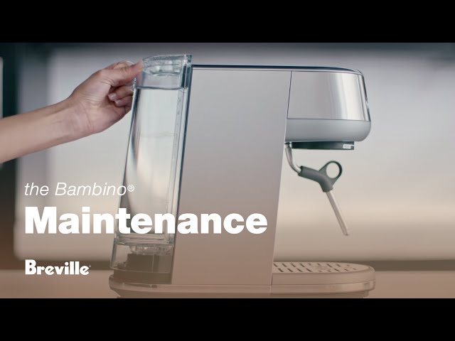 How to clean a Bambino Plus or Bambino coffee machine (Breville - Sage -  Caffin8 Coffee