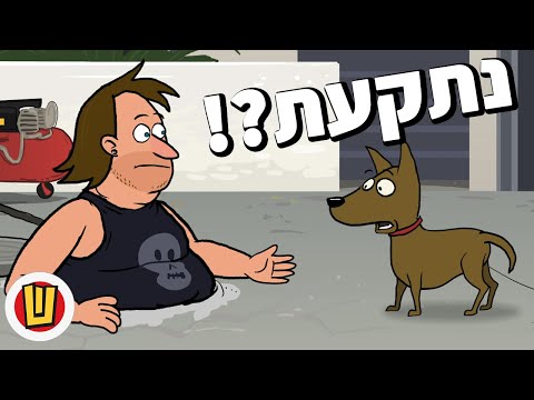 מוקי מציל את המצב 