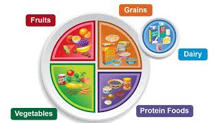 USDA Discover MyPlate Webinar Part III