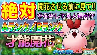 【ドラクエタクト】最新版✨攻略班のAランク・Bランク才能開花キャラをご紹介!!【実況】【#ドラクエタクト／#ドラゴンクエストタクト／#DQTact】【無課金攻略】