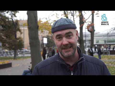 Григорий Манёв. Что необходимо знать, если Вы решили взять собаку из приюта