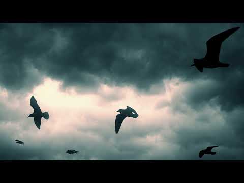 Arð - Burden Foretold [Official Lyric Video]