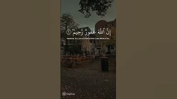 اللهم اجعل القران الكريم ربيع قلوبنا ونور صدورنا