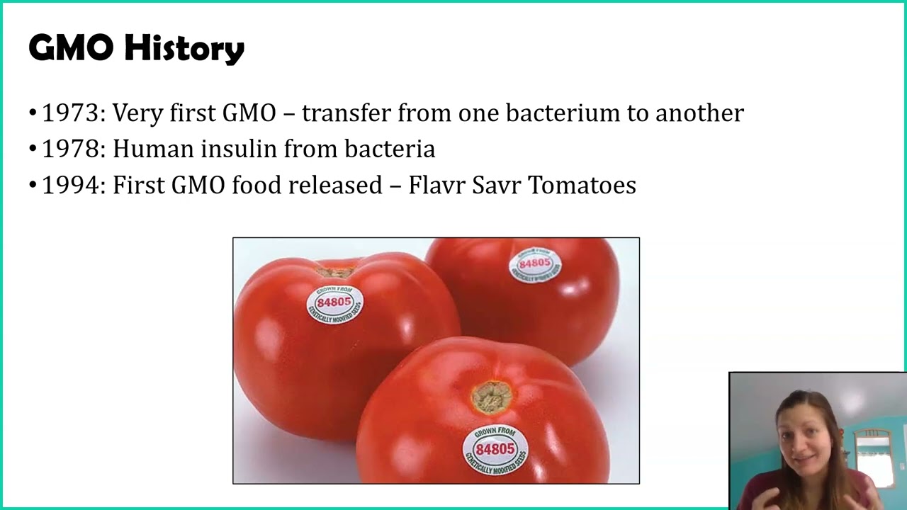 The Impact of GMOs on Human and Environmental Health