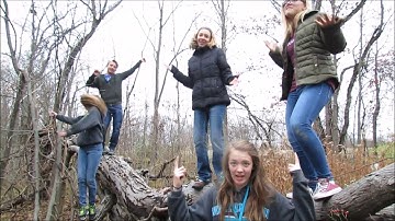 haters gonna hate (hate hate hate hate)