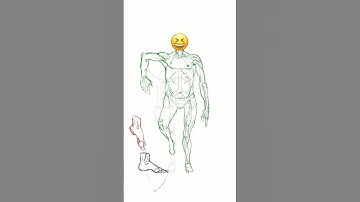 Anatomy study in Procreate #art #drawing