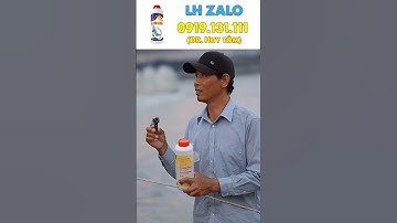 [Nuôi tôm thẻ công nghệ cao] Kết quả của quá trình xử lý cặn lơ lững bằng UltraClean | Dr Huy Tôm