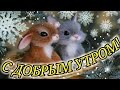 ДОБРОЕ УТРО! САМОЕ КРАСИВОЕ ПОЖЕЛАНИЕ ДОБРОГО ЗИМНЕГО УТРА! С ДОБРЫМ УТРОМ!