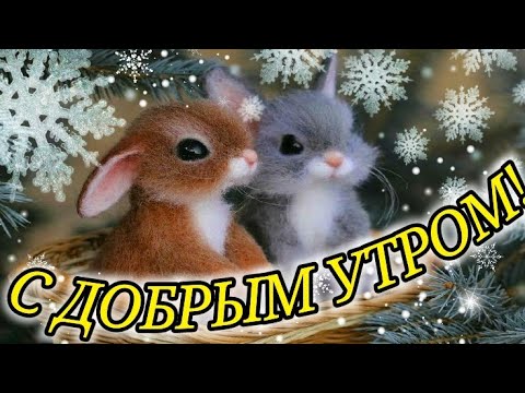 ДОБРОЕ УТРО! САМОЕ КРАСИВОЕ ПОЖЕЛАНИЕ ДОБРОГО ЗИМНЕГО УТРА! С ДОБРЫМ УТРОМ!