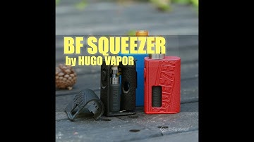 HUGO VAPOR BF SQUEEZER, best squonker mod, you decide