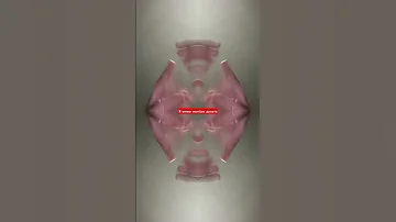 15 мая 2025 г 