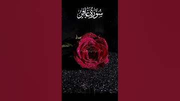 Surah Ghafir 💫 | Feel The Power of Allah’s Word | سورة غافر #quran