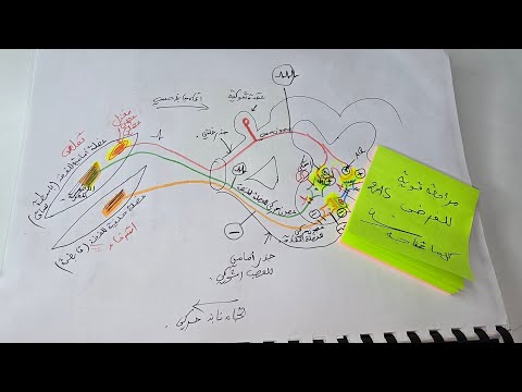 اقوى مراجعة للفرض ثانية ثانوي الفرز الشامل جابذ نابذ التنسيق