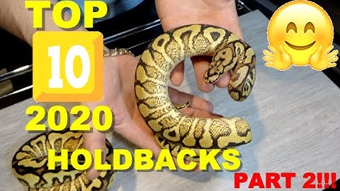 My Top 10 Holdback Ball Pythons Of 2020! PART 2!!!