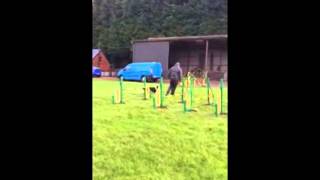 Grid Work SlowMo 02 11 14